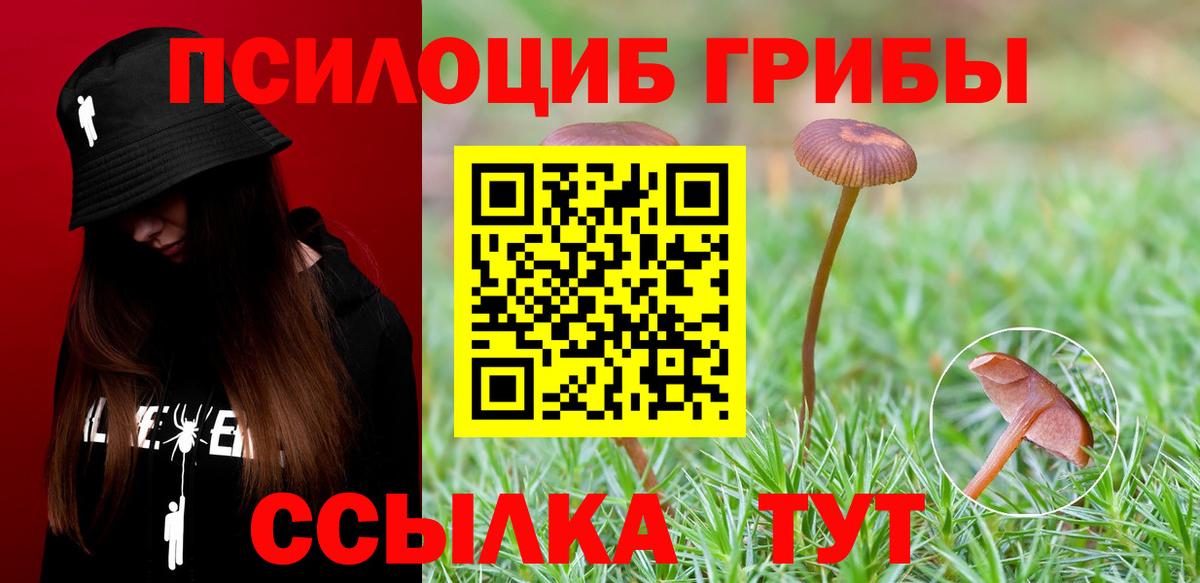 Красноармейск  Псилоцибиновые грибы мицелий  Псилоцибиновые грибы Magic Shrooms  Вход с VPN 