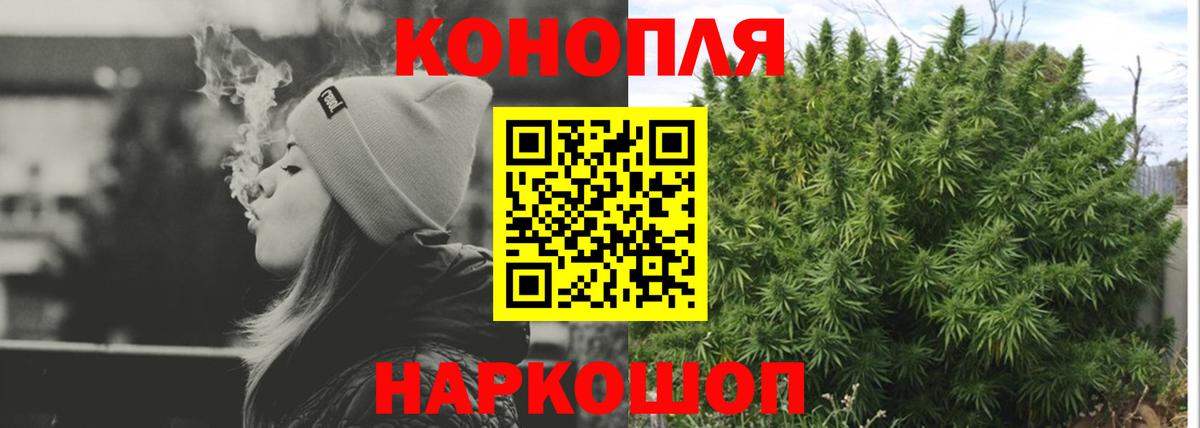 Бошки Шишки сатива Красноармейск